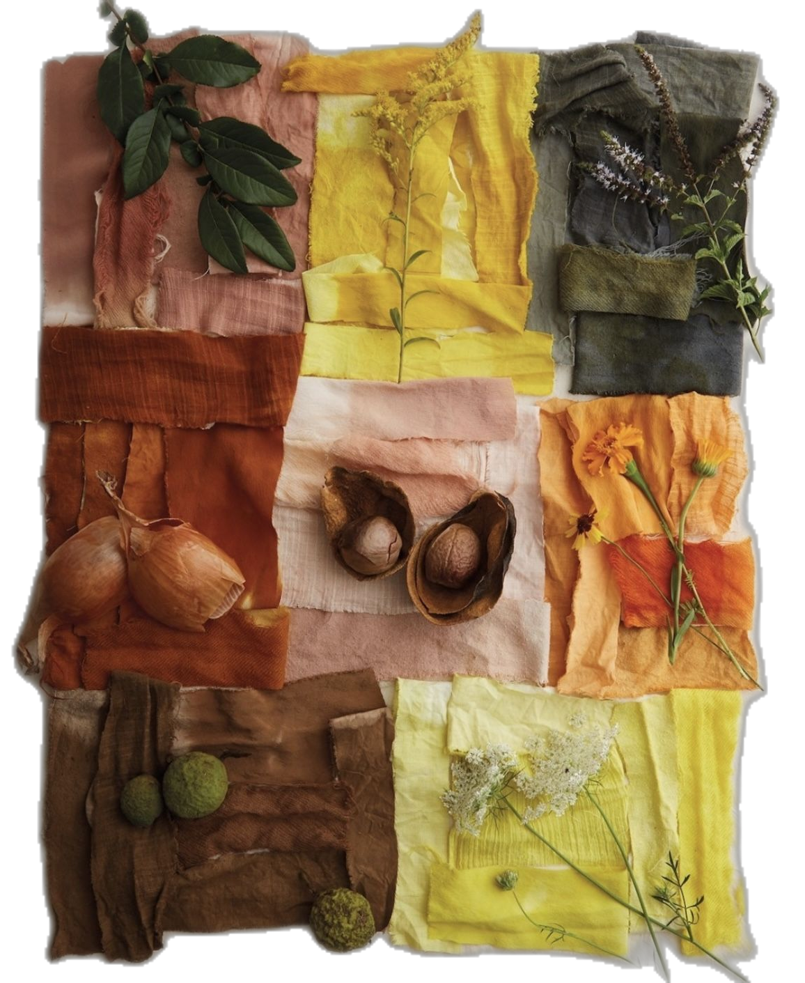 Workshop Přírodní Barvy