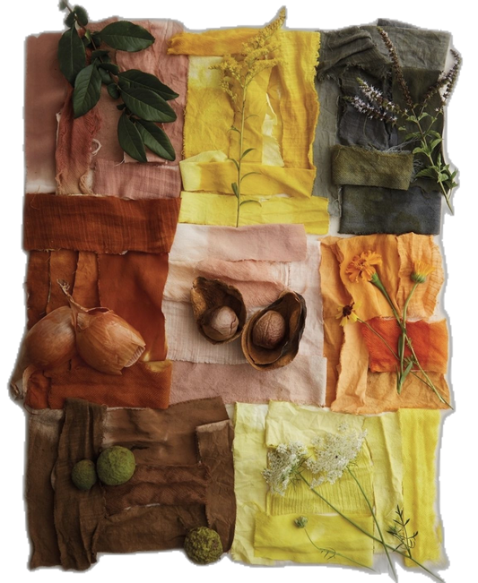 Workshop Přírodní Barvy